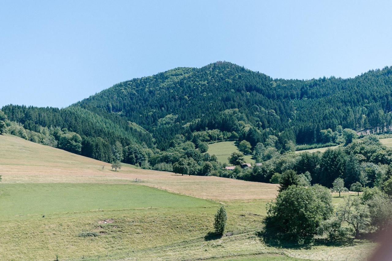 Moderne 2 Zi.-Fewo Blackforest Art Naehe Freiburg Simonswald Zewnętrze zdjęcie
